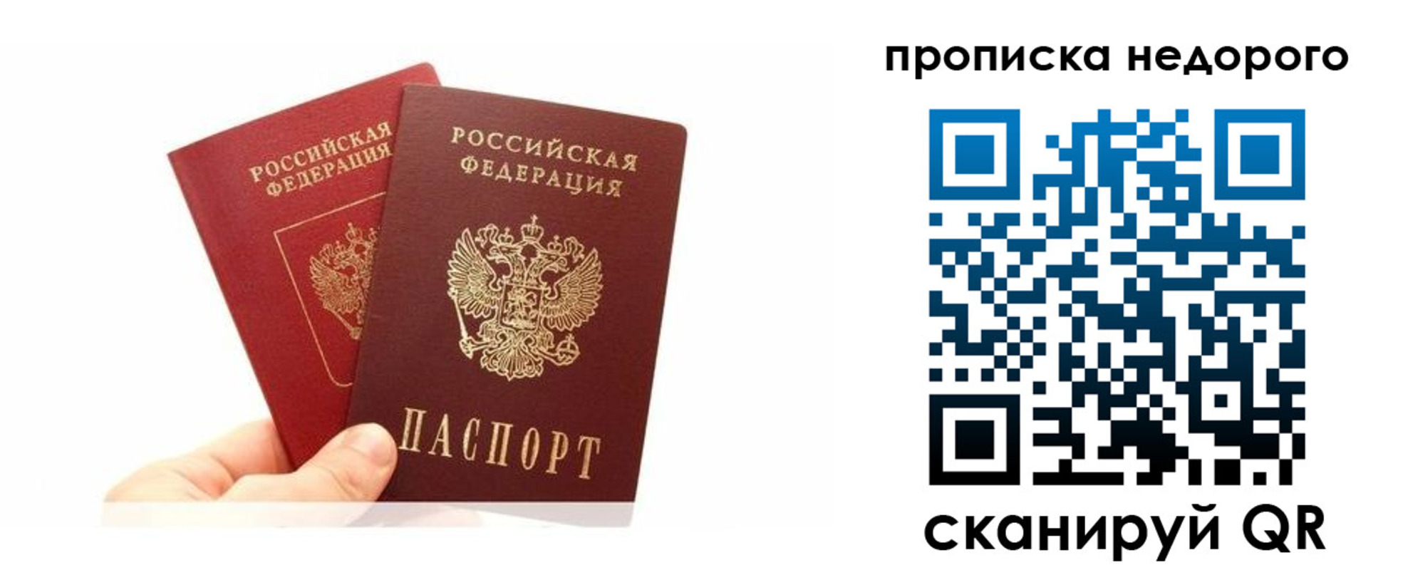 прописка законно в Волгодонске